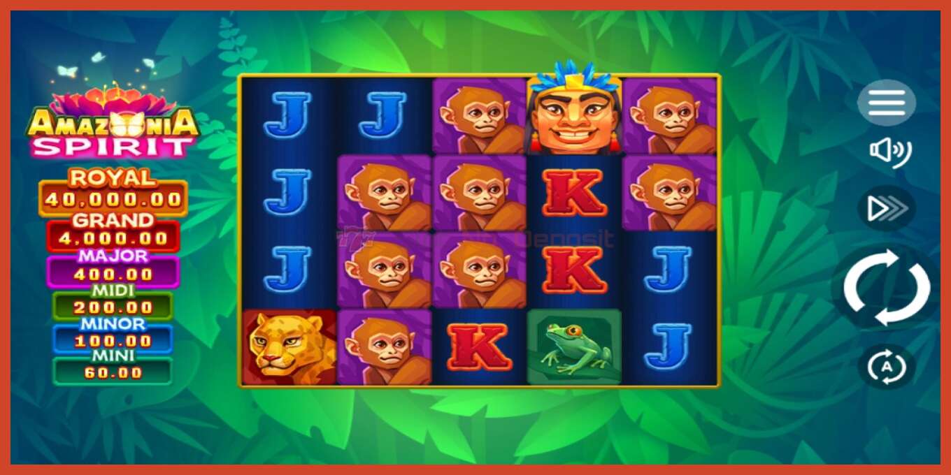 Schermafbeelding van slot: Amazonia Spirit geen aanbetaling, nummer - 1