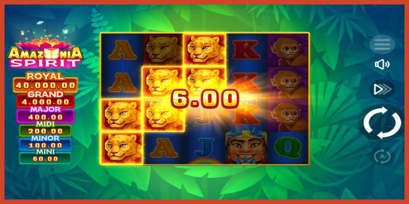 Schermafbeelding van slot: Amazonia Spirit geen aanbetaling, nummer - 3