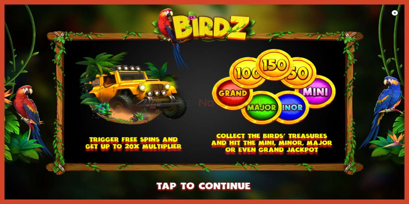 Slot screenshot: BIRDZ no deposit, number - 1