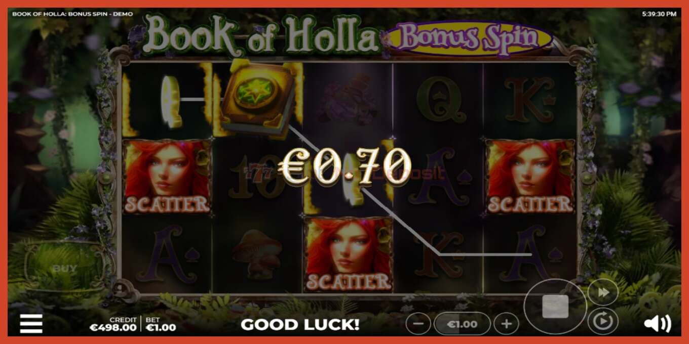 Slot screenshot: Book of Holla: Bonus Spin no deposit, number - 3