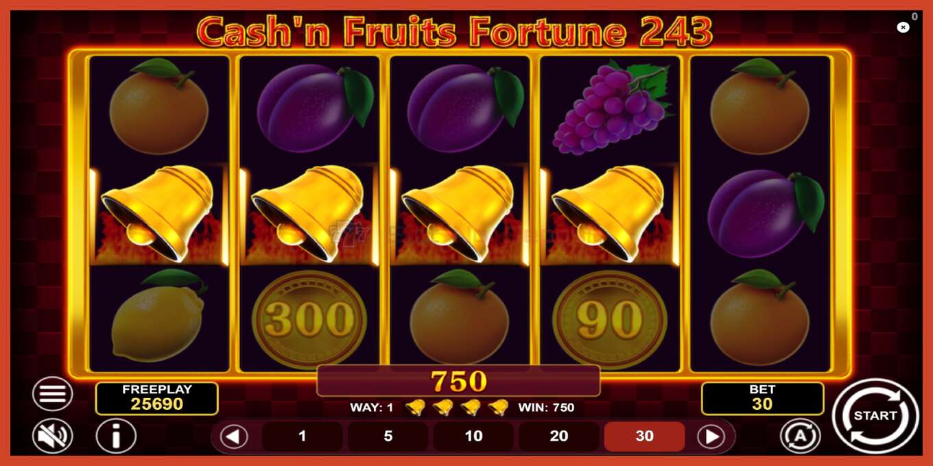 Slot screenshot: Cashn Fruits Fortune 243 bez depozita, broj - 5