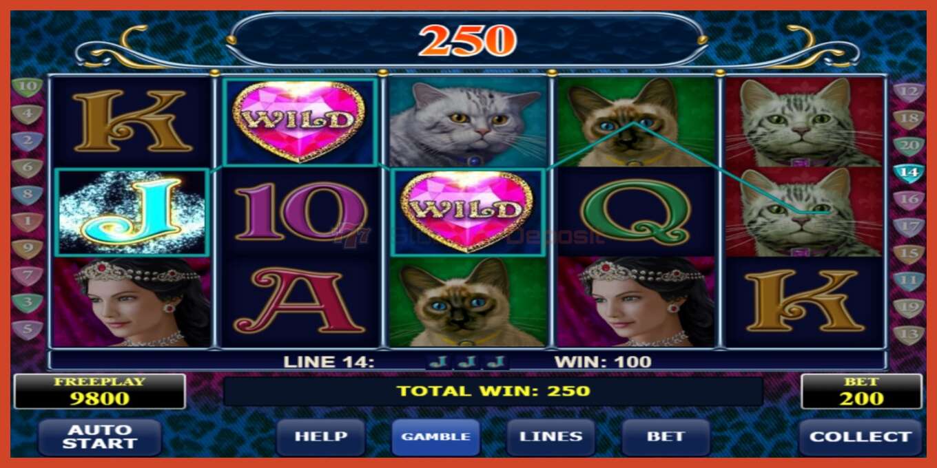 Slot screenshot: Diamond Cats no deposit, number - 2