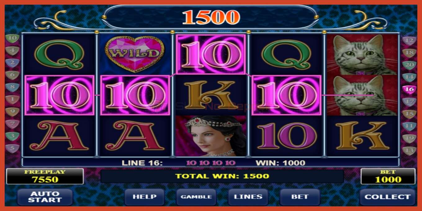 Slot screenshot: Diamond Cats no deposit, number - 3