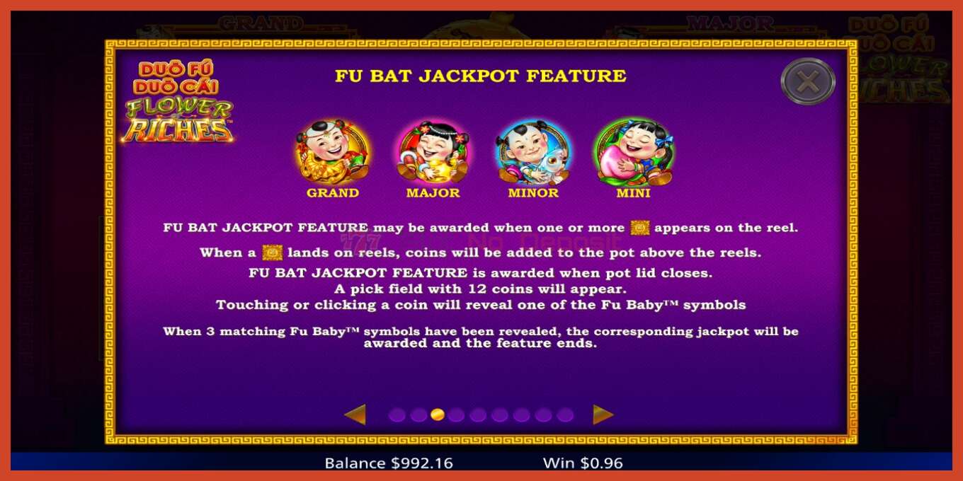 Slot screenshot: Duo Fu Duo Cai Flower Riches no deposit, number - 5