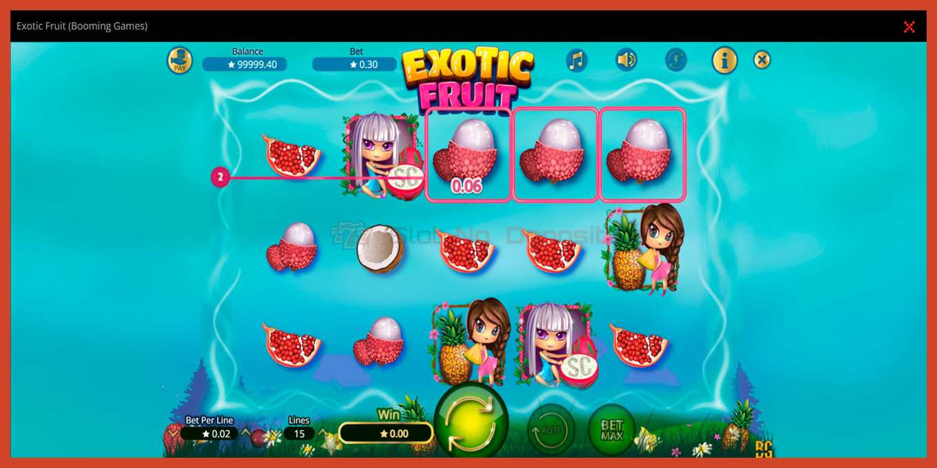 Slot screenshot: Exotic Fruit no deposit, number - 2