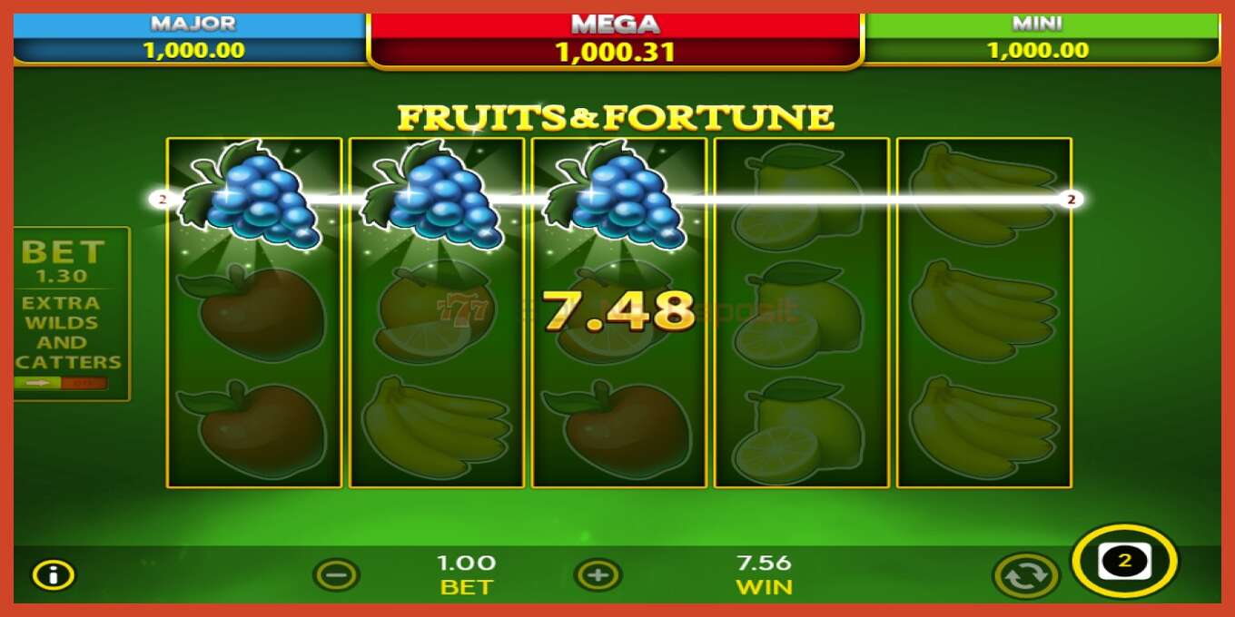 Slot screenshot: Fruits & Fortune bez depozita, broj - 5