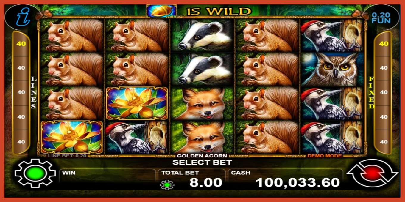 Slot screenshot: Golden Acorn no deposit, number - 1