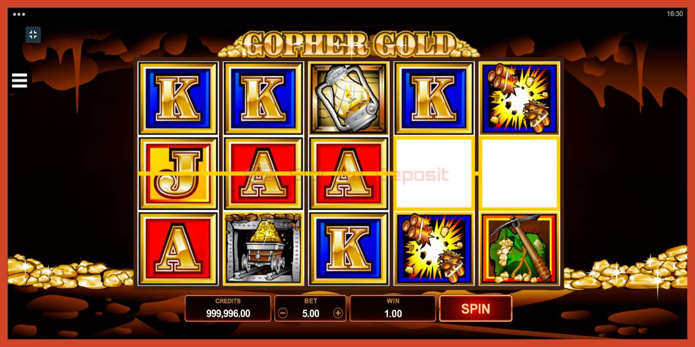 Slot screenshot: Gopher Gold no deposit, number - 2