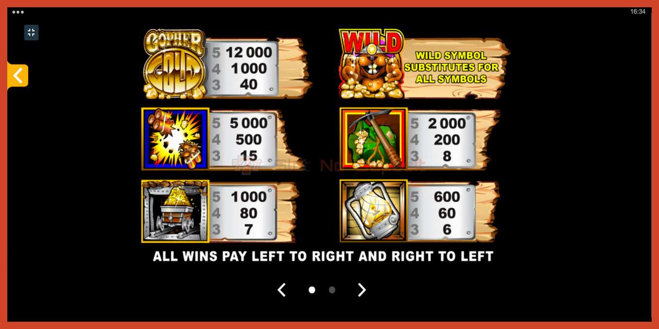 Slot screenshot: Gopher Gold no deposit, number - 6