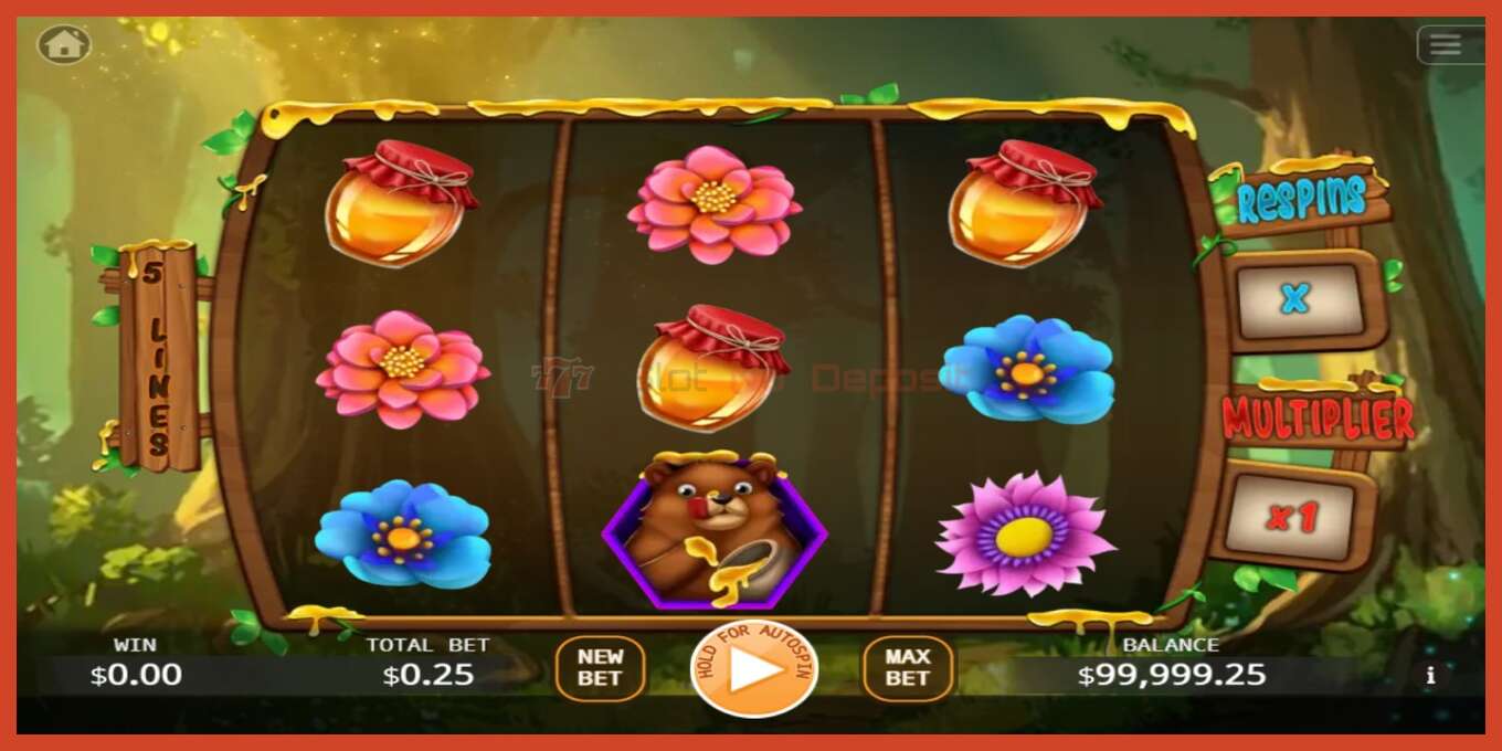 Schermafbeelding van slot: Honey Money geen aanbetaling, nummer - 1