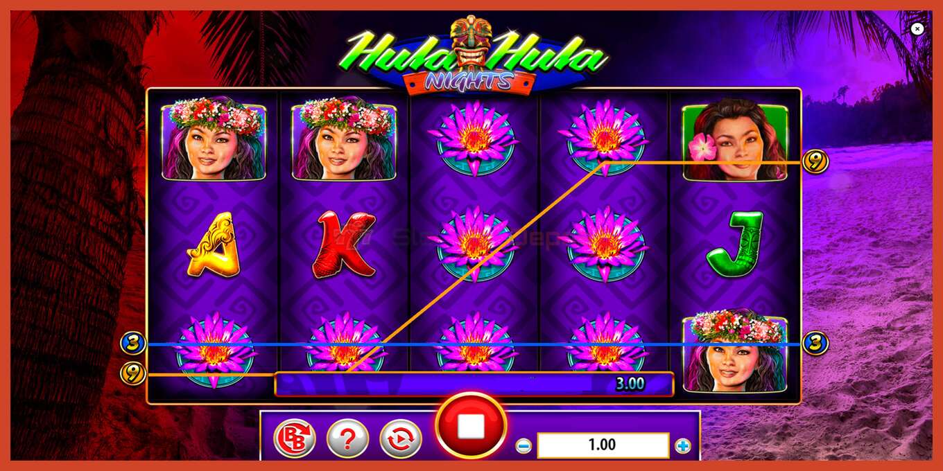 Slot скриншоту: Hula Hula Nights депозит жок, саны - 2