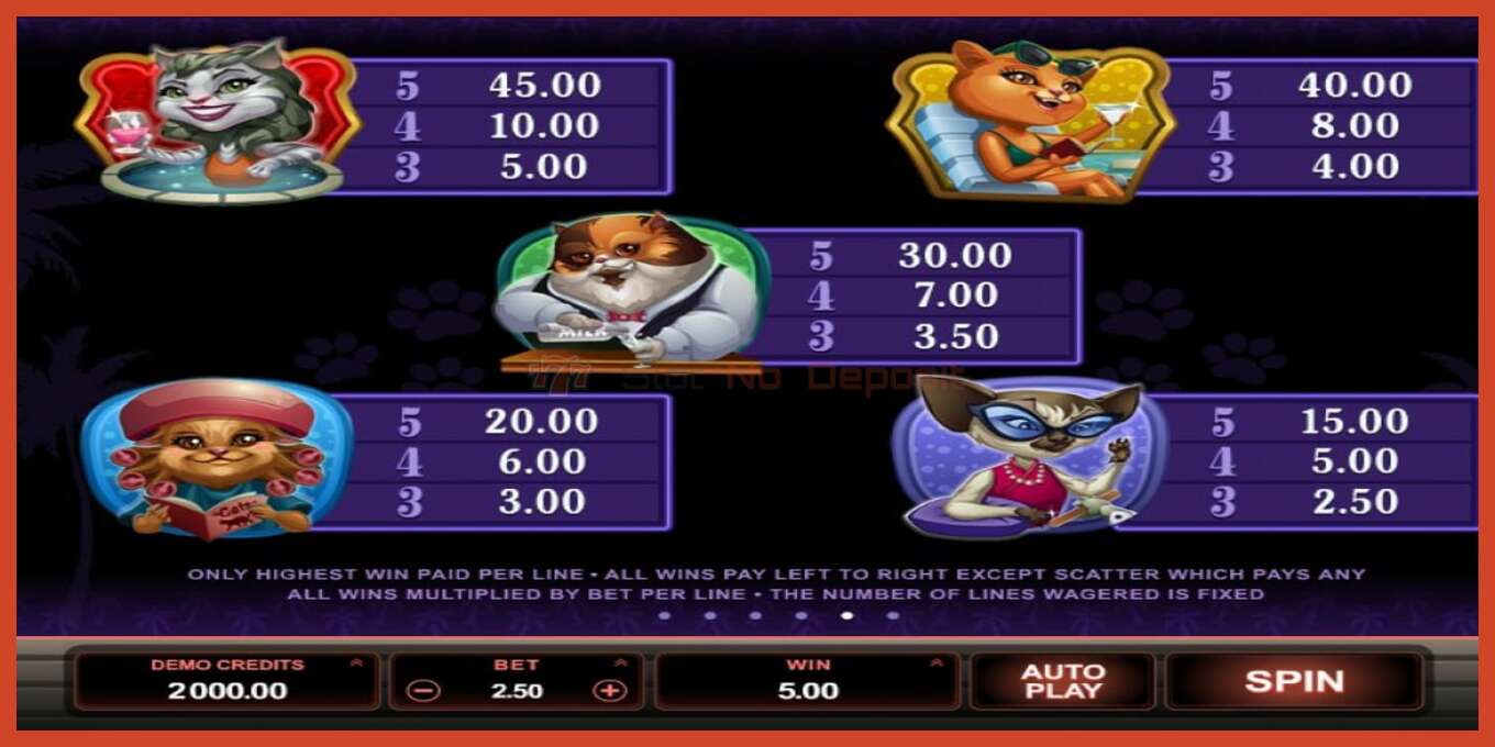 Slot screenshot: Kitty Cabana no deposit, number - 4