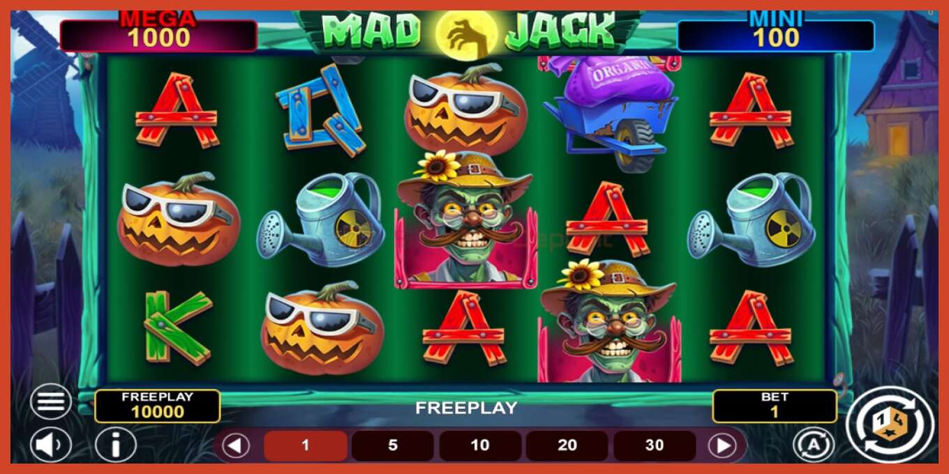 Slot screenshot: Mad Jack Hold & Win no deposit, number - 1