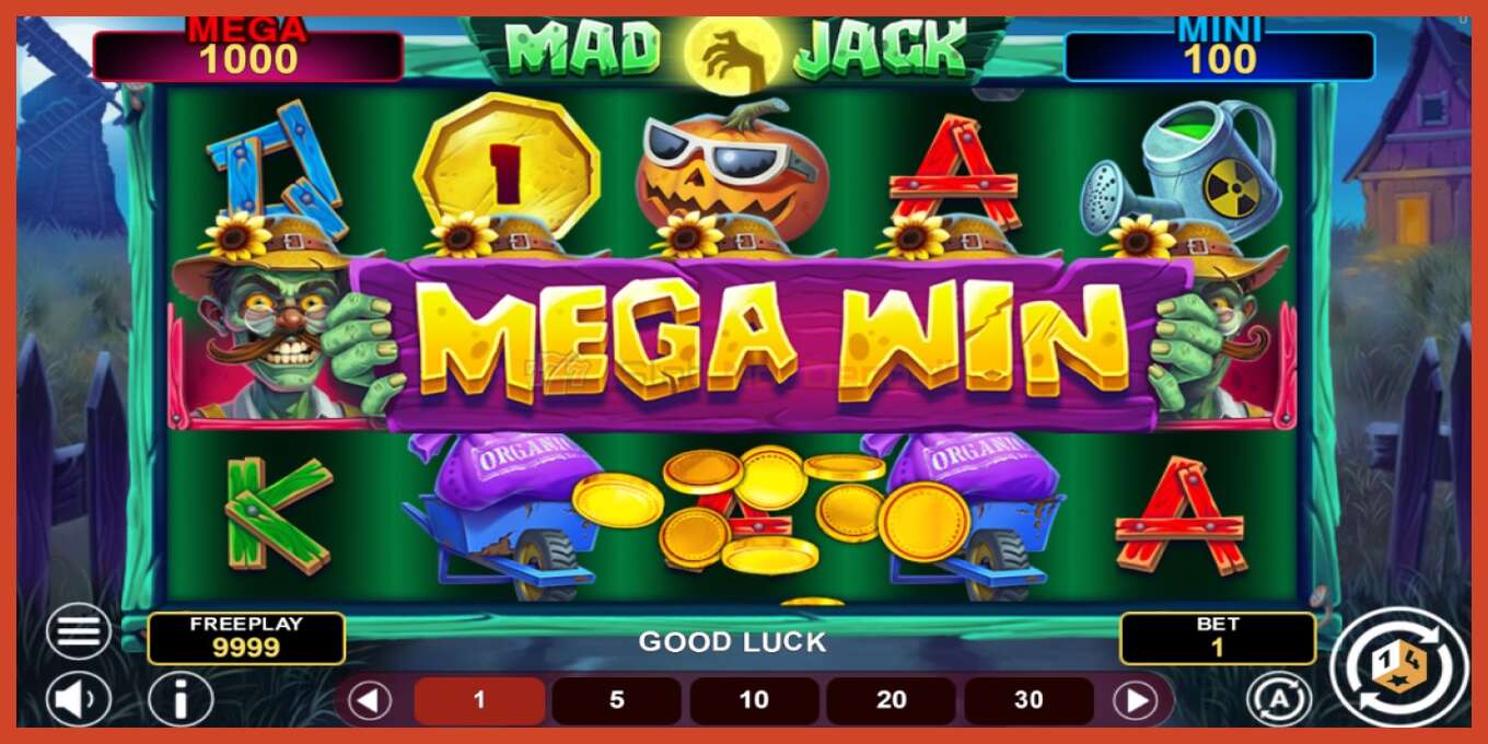 Slot screenshot: Mad Jack Hold & Win no deposit, number - 2