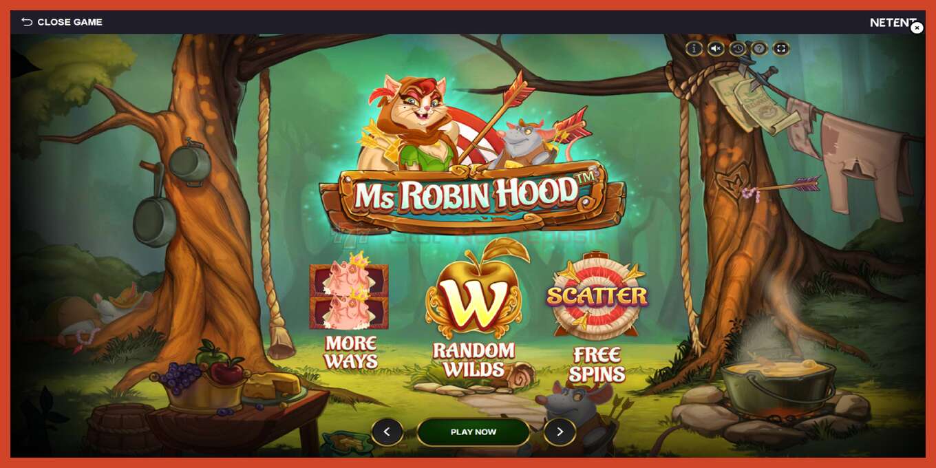 Slot screenshot: Ms Robin Hood no deposit, number - 1