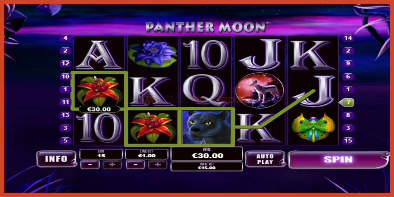 Slot screenshot: Panther Moon no deposit, number - 2