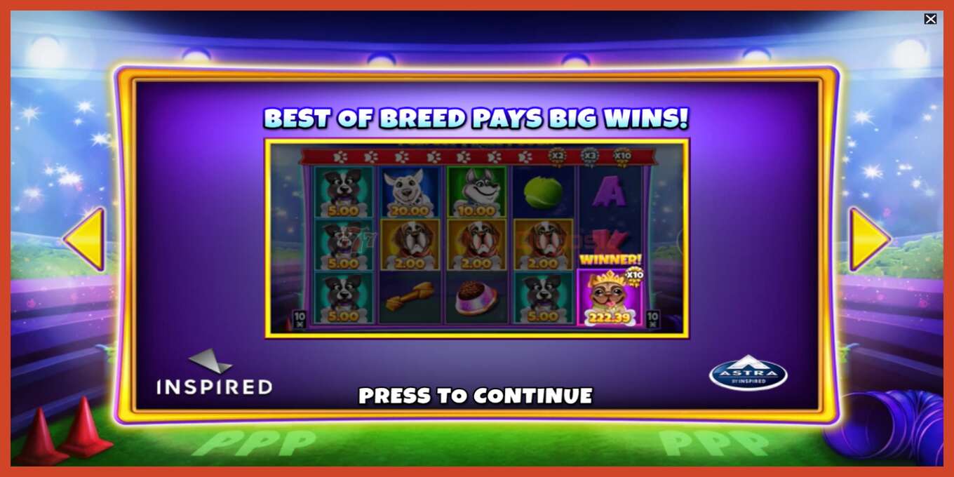 Slot screenshot: Perfect Prize Pooch no deposit, number - 1