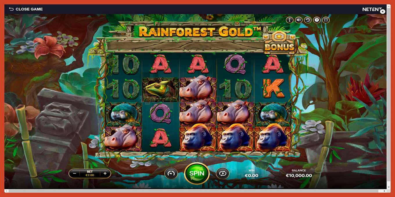 Slot skrinshoti: Rainforest Gold depozit yoq, raqam - 1