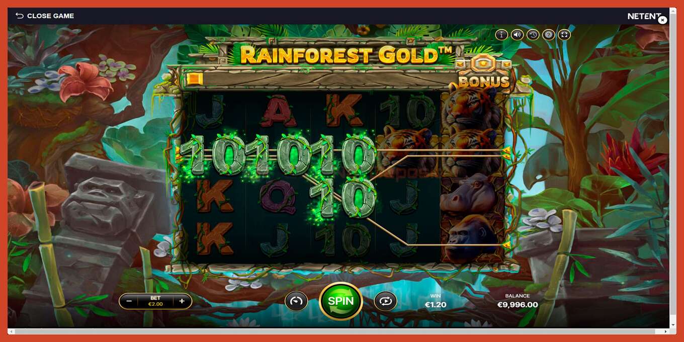 Slot skrinshoti: Rainforest Gold depozit yoq, raqam - 2