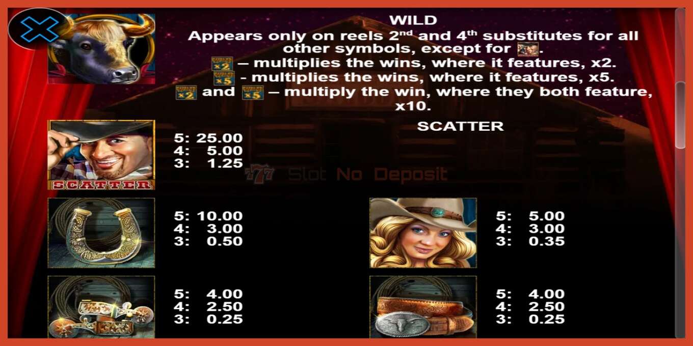 Slot screenshot: Rodeo Power no deposit, number - 4