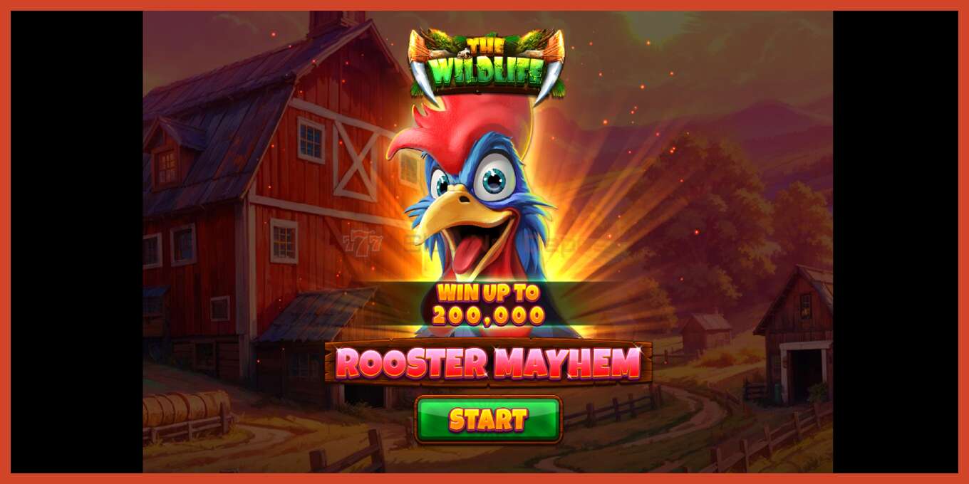 ภาพหน้าจอของสล็อต: Rooster Mayhem ไม่มีเงินฝาก, ตัวเลข - 1