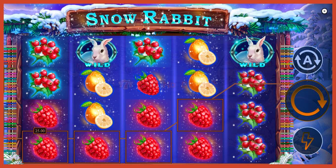 Στιγμιότυπο οθόνης υποδοχής: Snow Rabbit χωρίς κατάθεση, αριθμός - 4