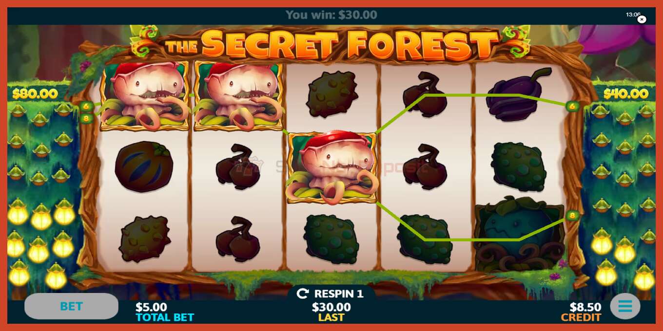 Slot screenshot: The Secret Forest no deposit, number - 3