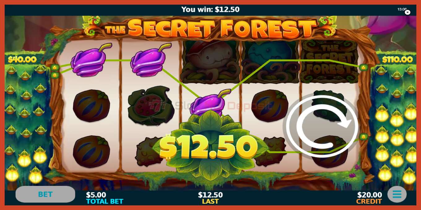 Slot screenshot: The Secret Forest no deposit, number - 4