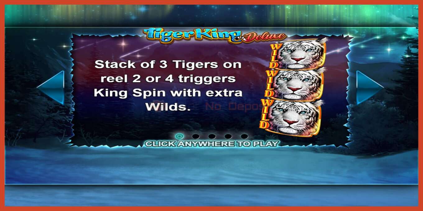 Slot screenshot: Tiger King Deluxe no deposit, number - 1