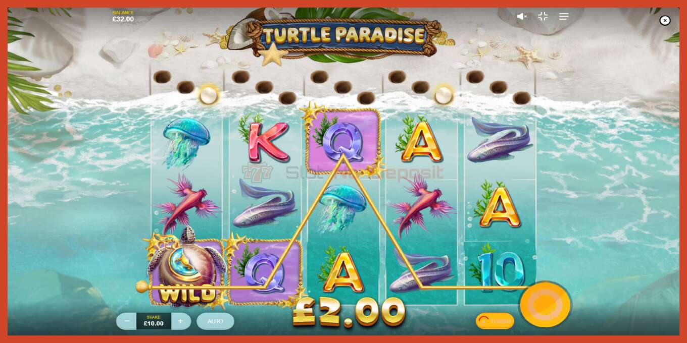 Slot screenshot: Turtle Paradise no deposit, number - 3