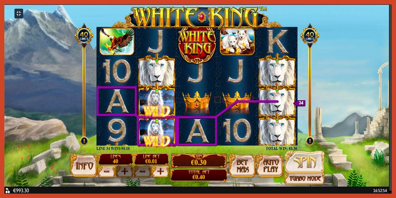 Slot screenshot: White King no deposit, number - 9