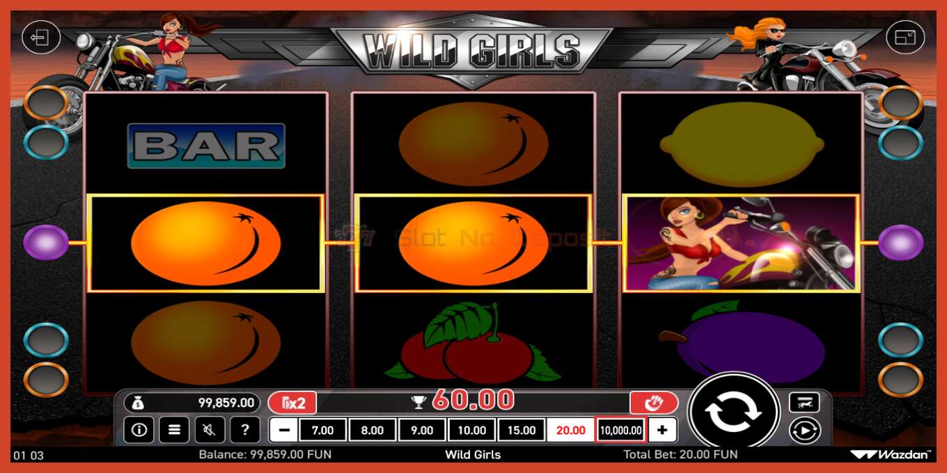 Slot screenshot: Wild Girls no deposit, number - 5