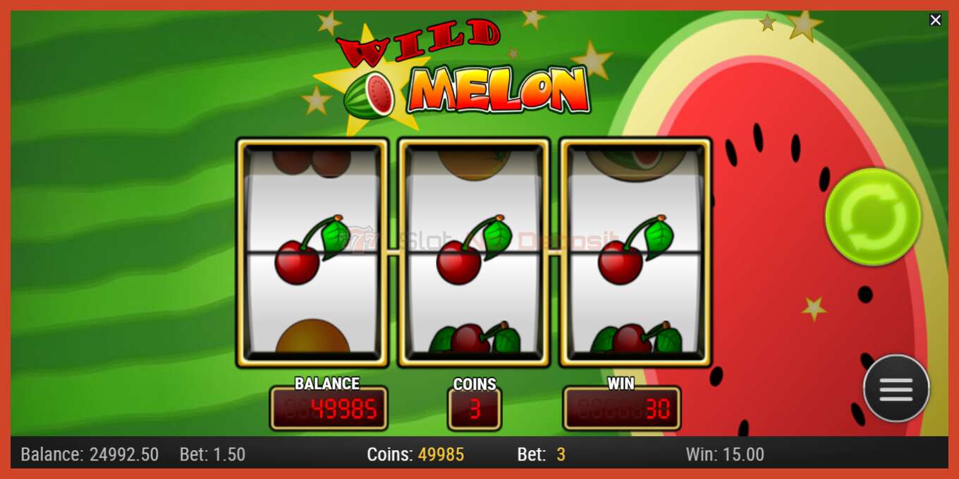 Slot screenshot: Wild Melon no deposit, number - 3