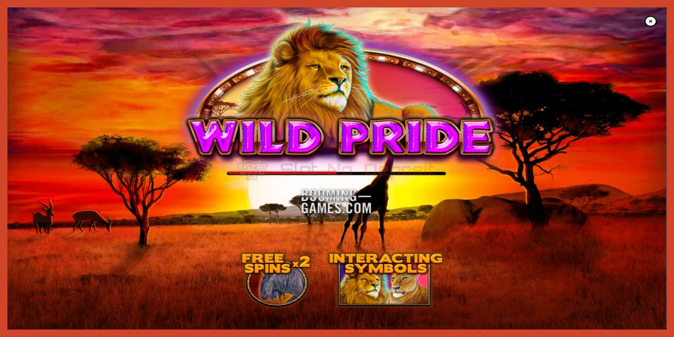 Slot screenshot: Wild Pride no deposit, number - 1