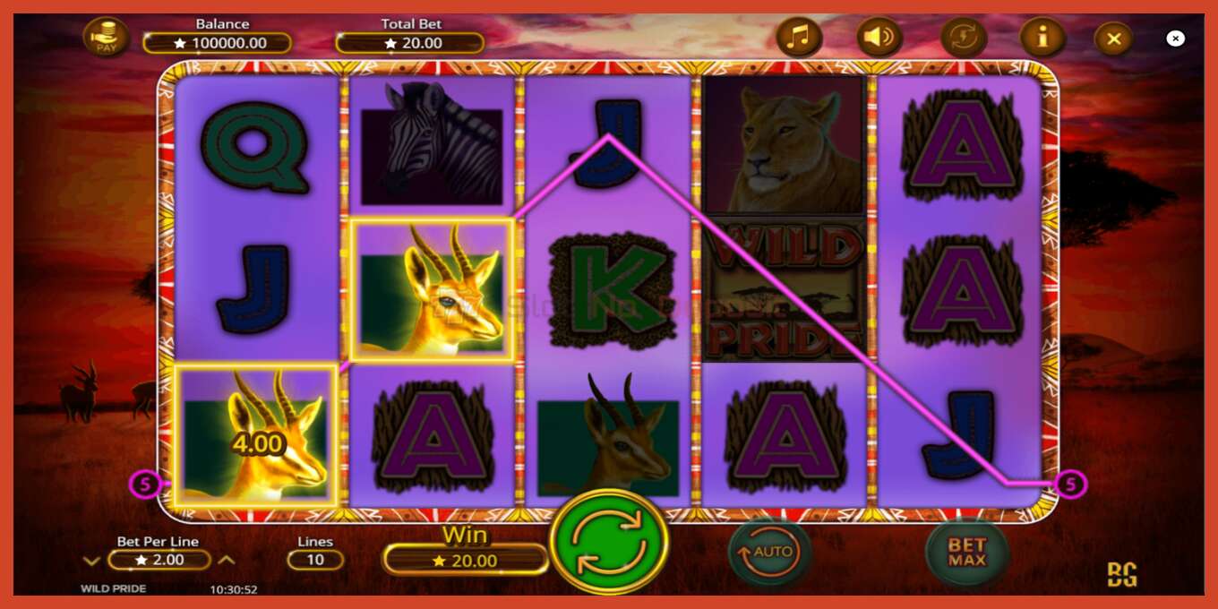 Slot screenshot: Wild Pride no deposit, number - 4