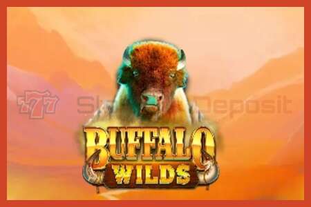 Slot poster: Buffalo Wilds no deposit