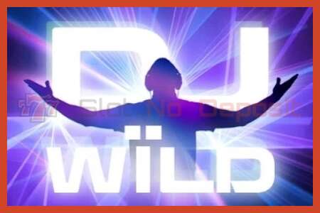 Սլոտի պաստառ: DJ Wild ոչ ավանդ