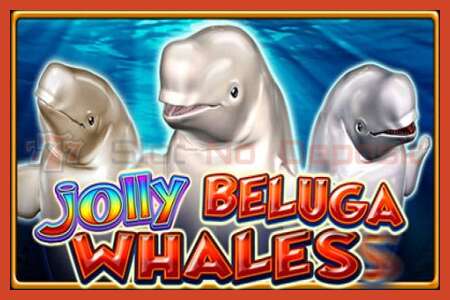 Plakat za utor: Jolly Beluga Whales bez depozita