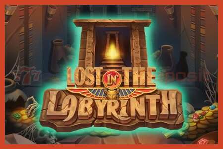 Lizdų plakatas: Lost in the Labyrinth jokio užstato