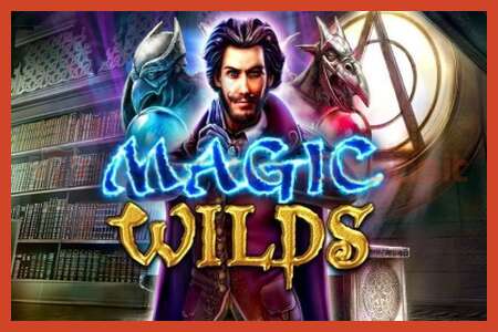 Slot poster: Magic Wilds no deposit