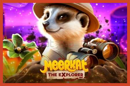 Slot poster: Meerkat no deposit