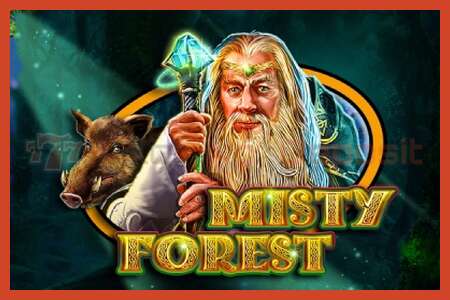 Slot poster: Misty Forest no deposit