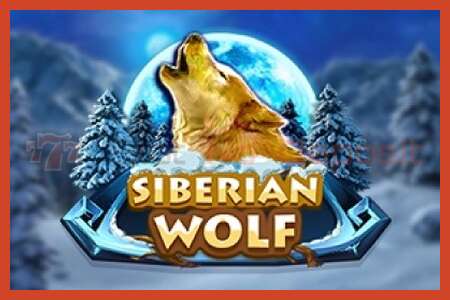 Slot kartela: Siberian Wolf gordailurik ez