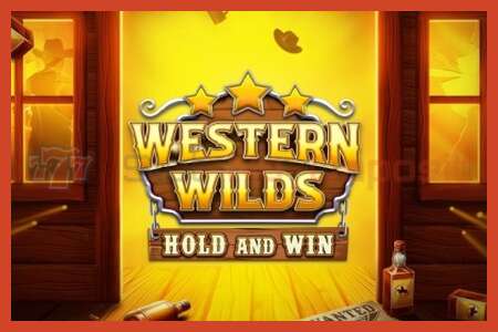 Slot poster: Western Wilds Hold and Win no deposit