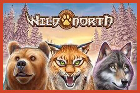 Slot poster: Wild North no deposit